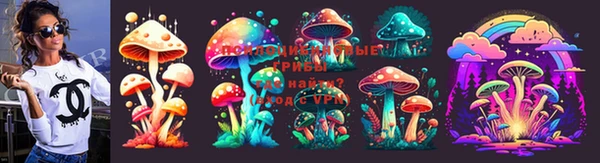 ПСИЛОЦИБИНОВЫЕ ГРИБЫ Горняк