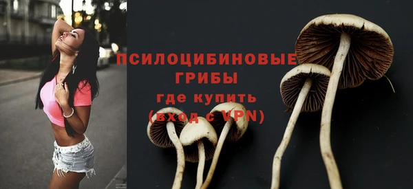 каннабис Горно-Алтайск