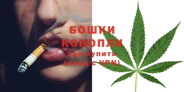 ПСИЛОЦИБИНОВЫЕ ГРИБЫ Горняк