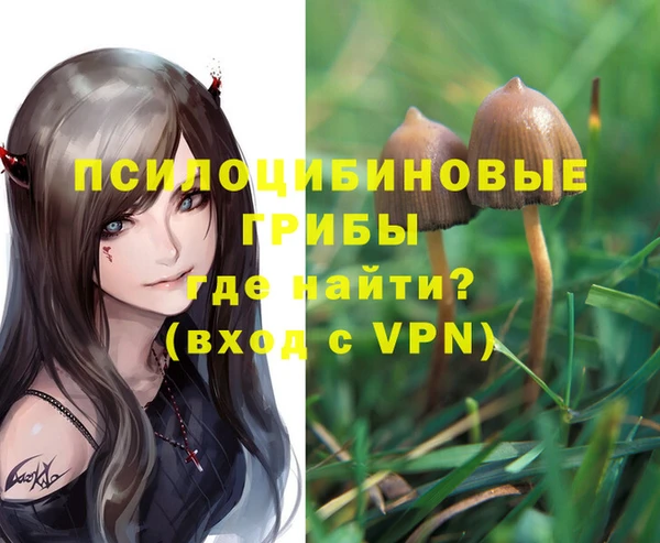 ПСИЛОЦИБИНОВЫЕ ГРИБЫ Горняк