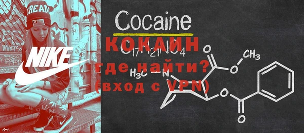 ПСИЛОЦИБИНОВЫЕ ГРИБЫ Горняк